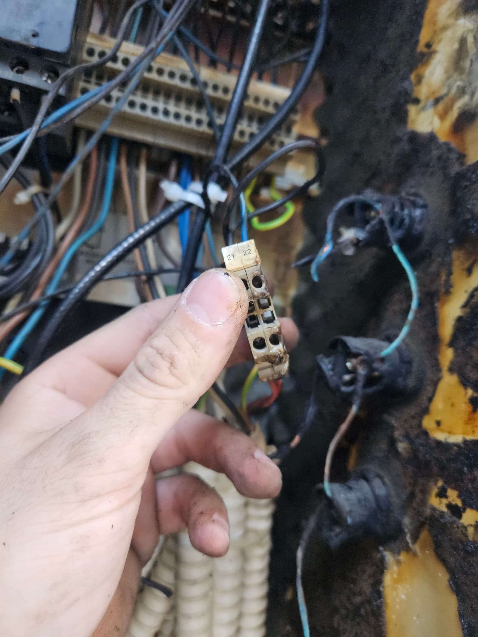 Pregorela redna spojnica izvađena iz oštećene table. Karakterističan trag termalnog kvara, dokaz lošeg kontakta koji je doveo do požara u kućištu.