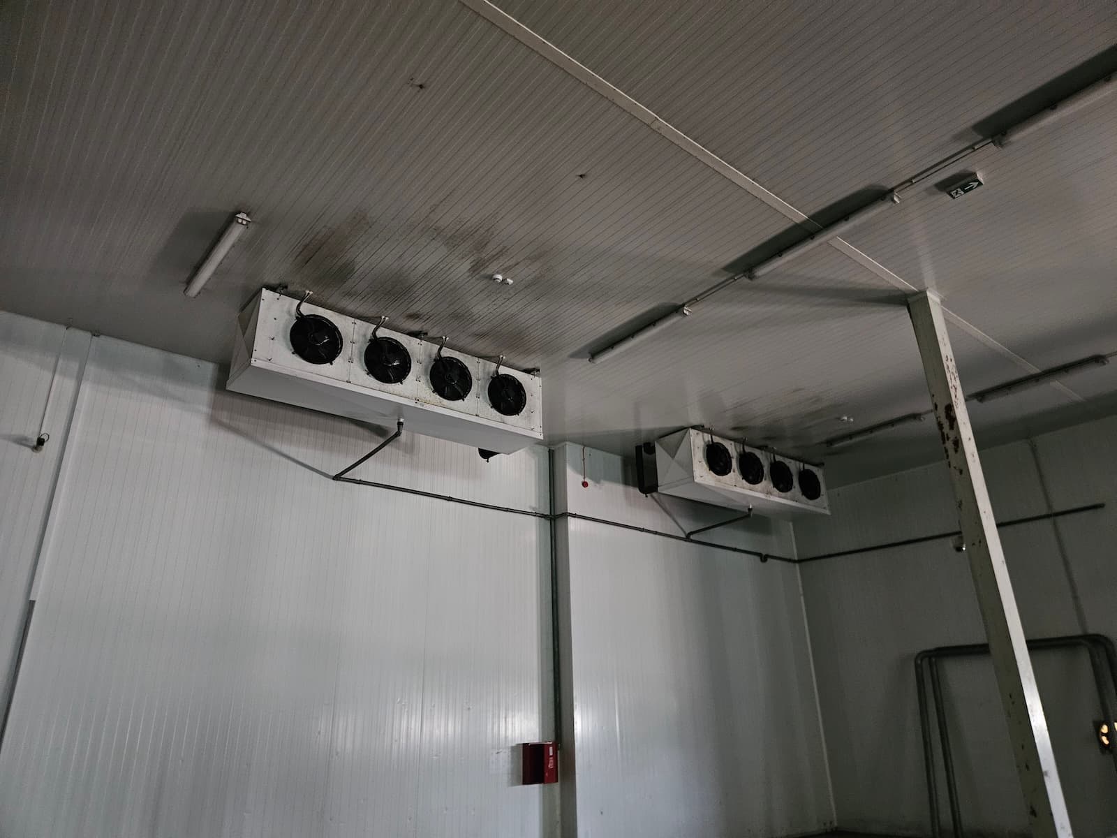 Industrijska rashladna komora sa dva evaporatora na plafonu. Dupli kapacitet hlađenja za velike skladišne prostore.